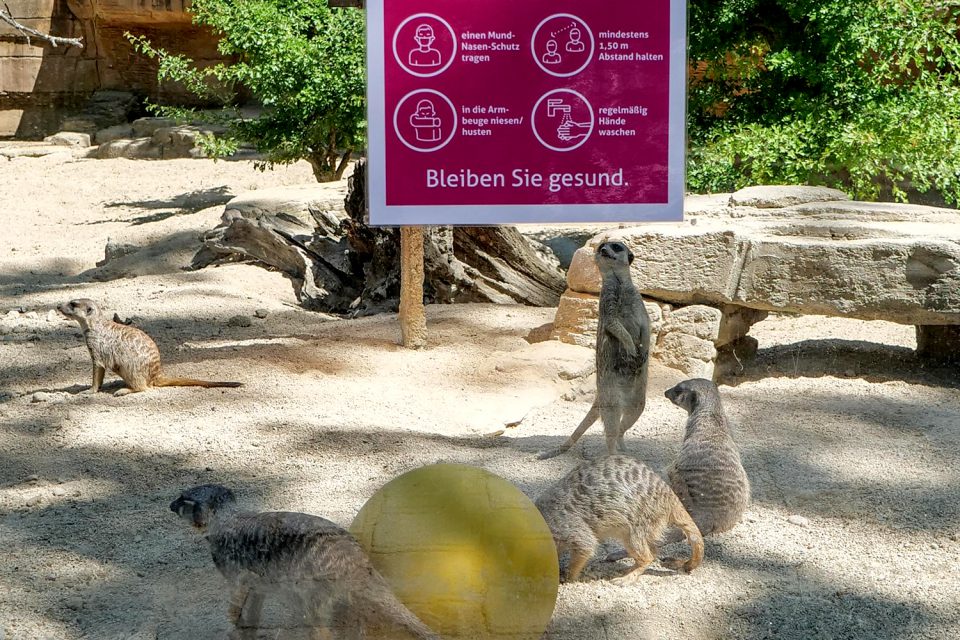 Die Wilhelma feiert am kommenden Montag (11.5.) ihr Comeback: Nach der Corona-Schließung öffnen die Tore des bekannten Stuttgarter Zoos. (Foto: Wilhelma)