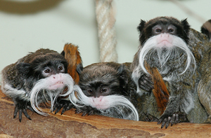 Ausflug in die Wilhelma