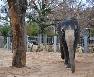Mitmachen Ehrensache