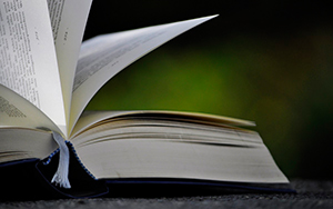 Diesen Sommer noch nichts vor? Wie wär's damit...?