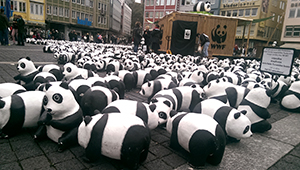 Pandabären auf dem Stuttgarter Marktplatz