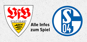 3:1 gegen Schalke - VfB landet Big Point im Abstiegskampf