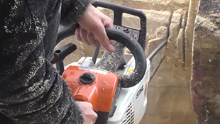 Das passiert mit den S21-Bäumen