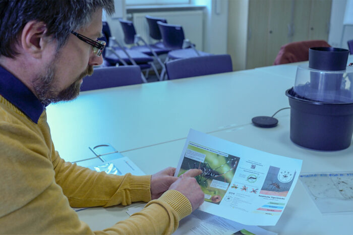 Klimawandel begünstigt die Ausbreitung der Asiatischen Tigermücke