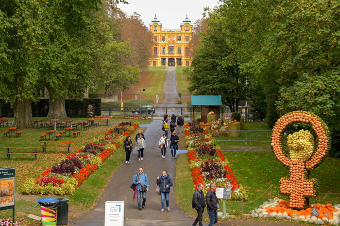 Das bietet die Kürbisausstellung Ludwigsburg
