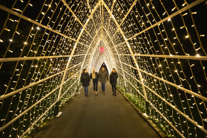 Christmas Garden kommt wieder in die Wilhelma: Das ist geplant