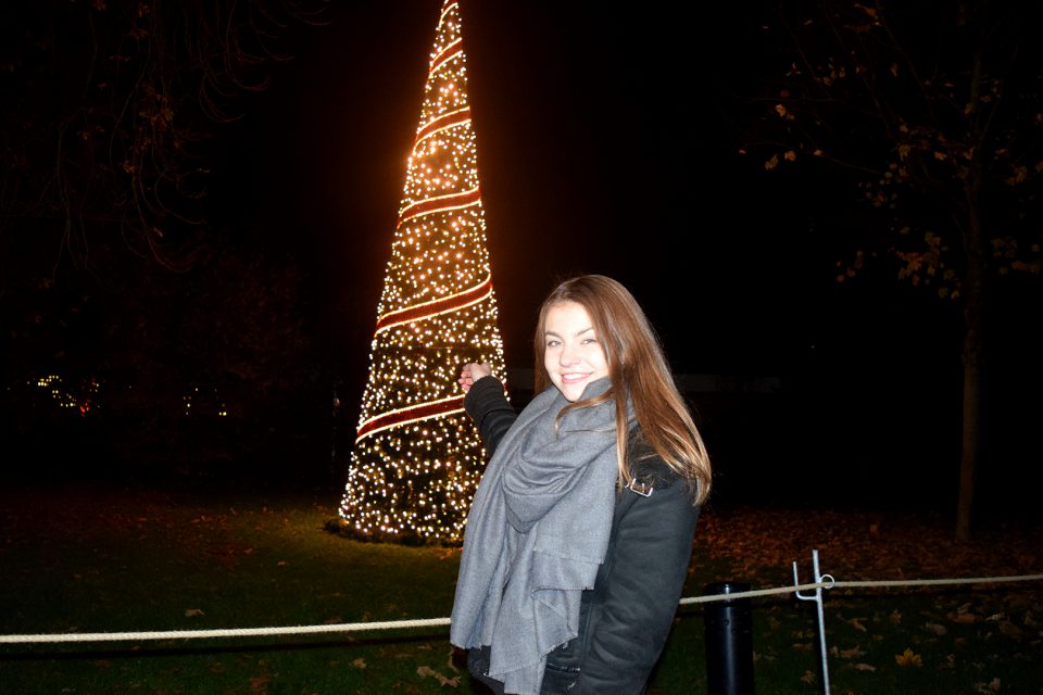 Der Christmas Garden in der Wilhelma in Stuttgart (Foto: STUGGI.TV)