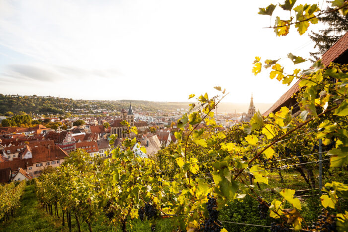 Fünf Tage Weinfest bei der Esslinger Wein-Lounge