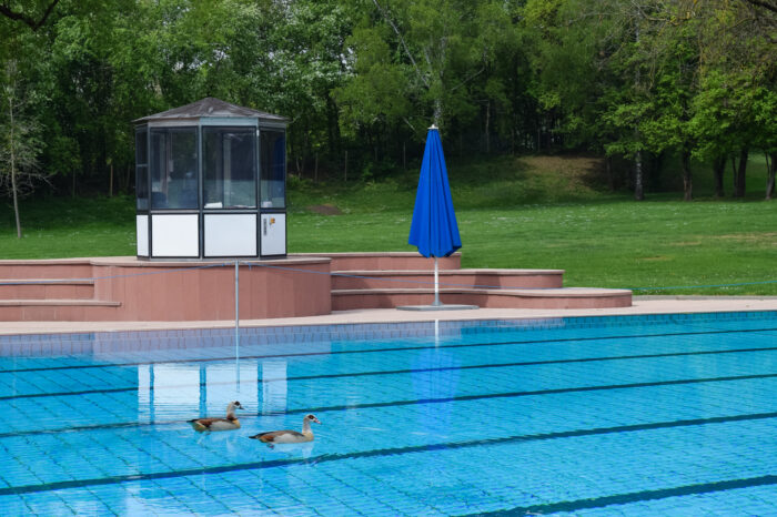 Stuttgarter Grüne wollen Wiese im Freibad Möhringen für Sport und Kultur nutzen