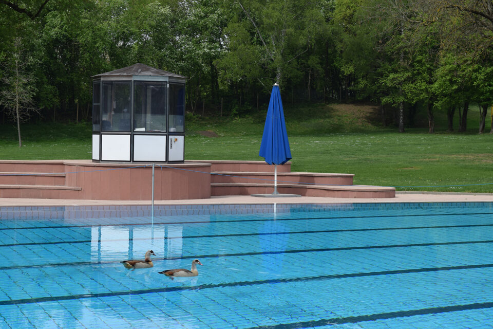 Freibad Möhringen (Foto: STUGGI.TV)