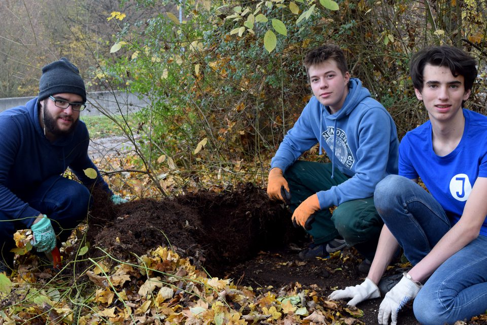Jugendrat Stuttgart verpasst Waldstück in Botnang ein Schönheits-Update (Foto: STUGGI.TV)