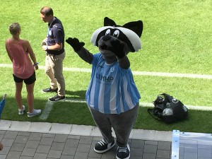 Das Maskottchen der Stuttgarter Kickers Waldi