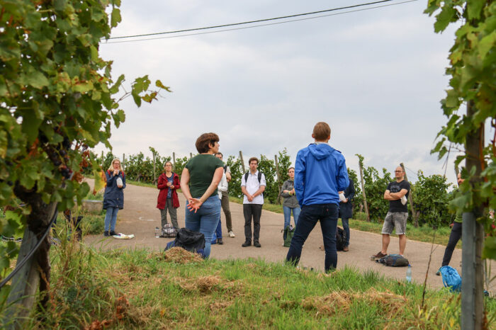 Katholische Kirche will mit neuen Angeboten selbstkritischer werden