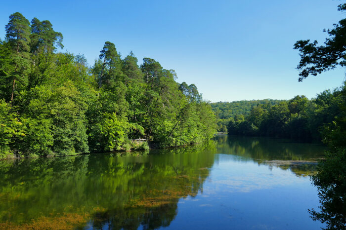 Bei trockener Witterung: Wassermangel in Stuttgarter Bächen bedroht Tiere und Pflanzen