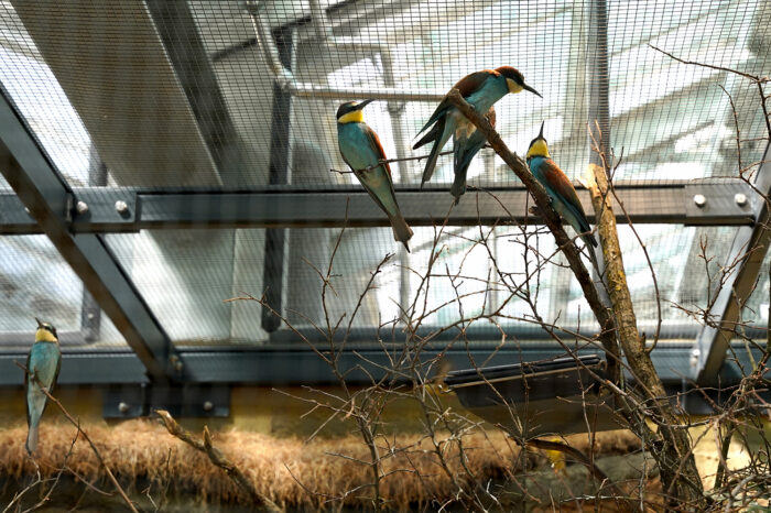 Wilhelma feiert Eröffnung von Neubau